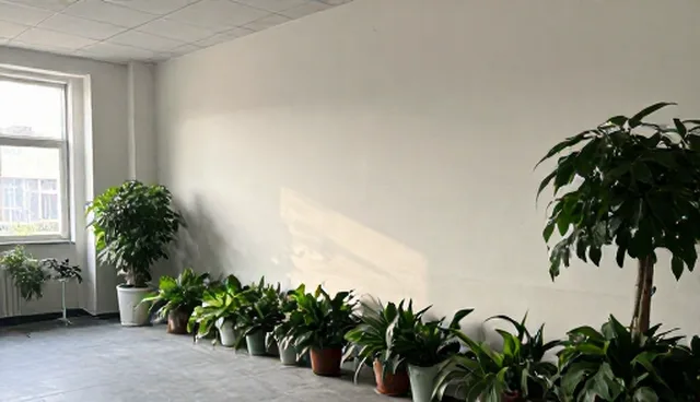 性能差异对比：运维服务中的适用条件分析