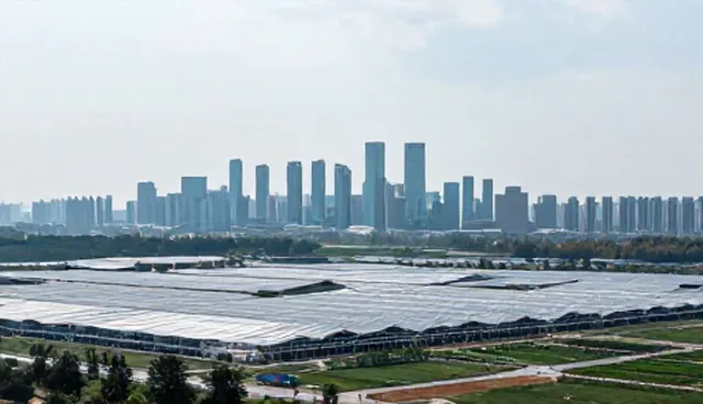 运维流程中的性能优化问题与应对策略